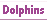 Swim with Dolphins