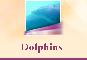Delphine